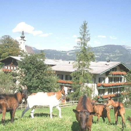 Torrenerhof Hotel Golling an der Salzach Exterior foto